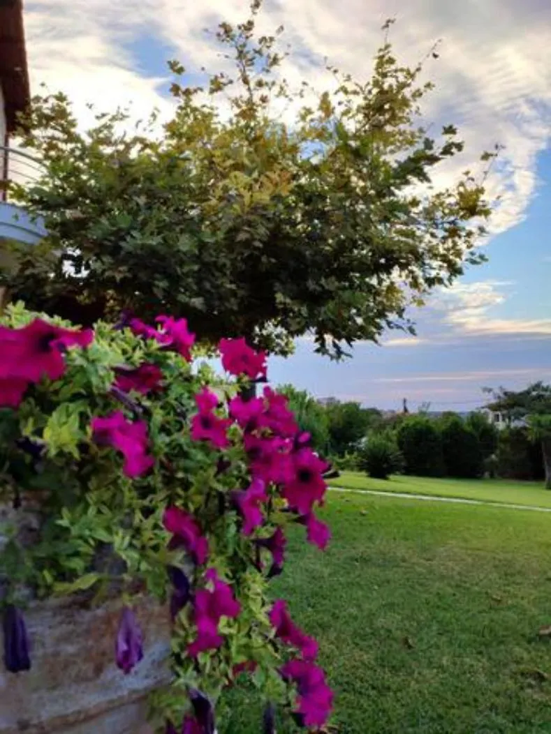 Wonderful Villa With Great View In Posidi-Kalandra  Kalandra